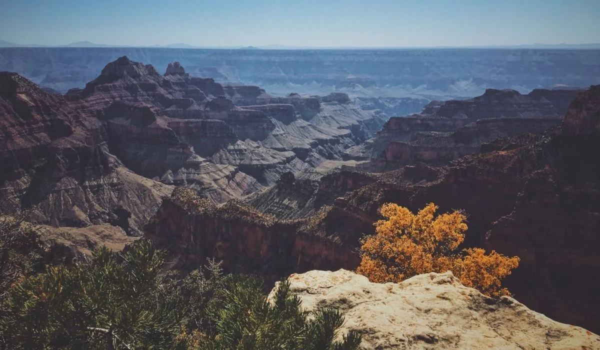 Los Angeles County Mountains