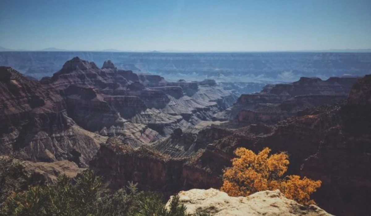 Does Alabama have mountains